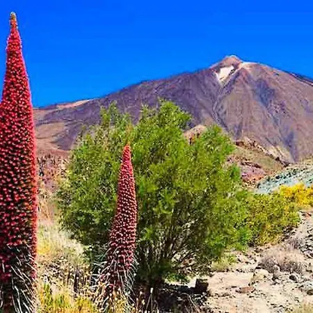 Casita Lola Tenerife Sur سان ميغيل ذي أبونا