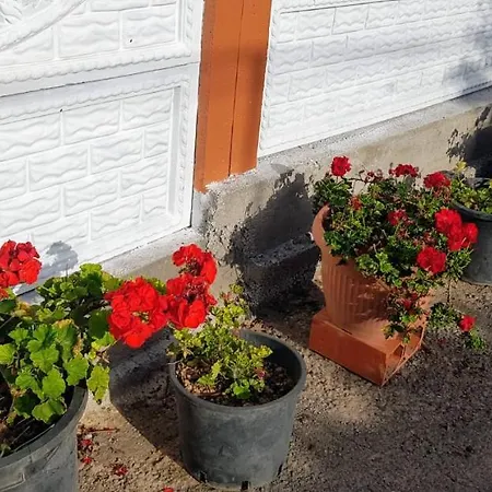 Casita Lola Tenerife Sur